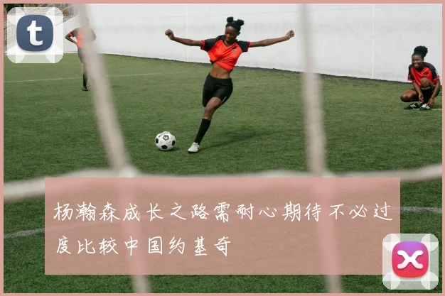 杨瀚森成长之路需耐心期待不必过度比较中国约基奇