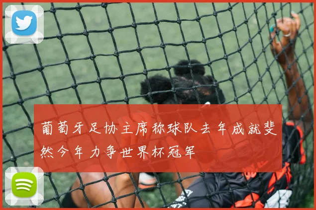 葡萄牙足协主席称球队去年成就斐然今年力争世界杯冠军